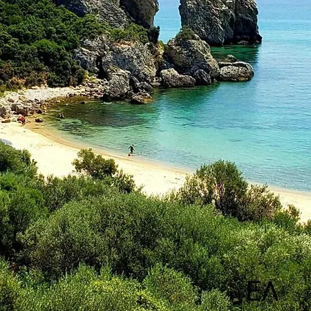 Paradise شقة *